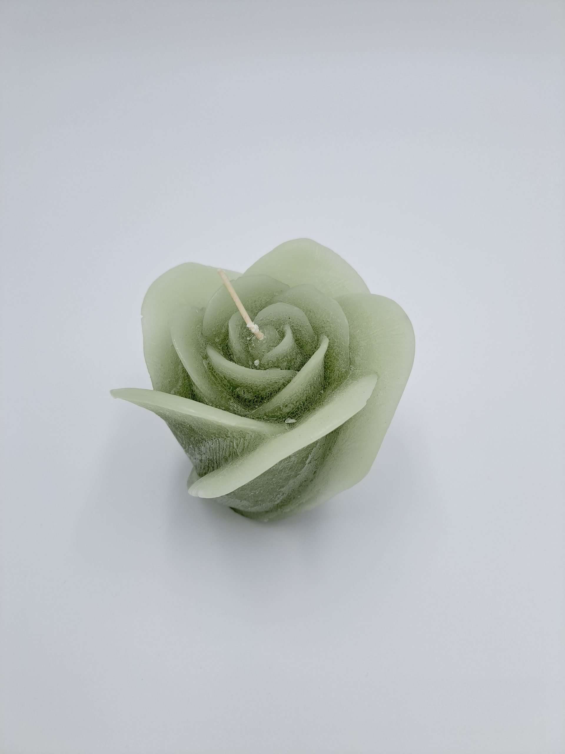 Fairy Tail Rose green