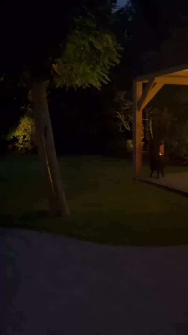 Instagram post from burghwoods. This post is in position 12.